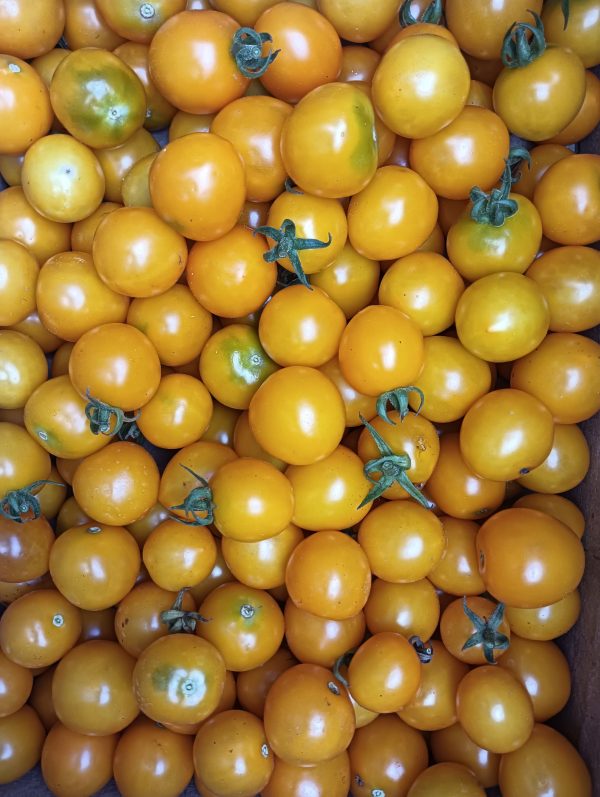 Tomato Galina Cherry - Image 2
