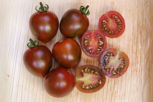 Tomato Tigris - Image 2