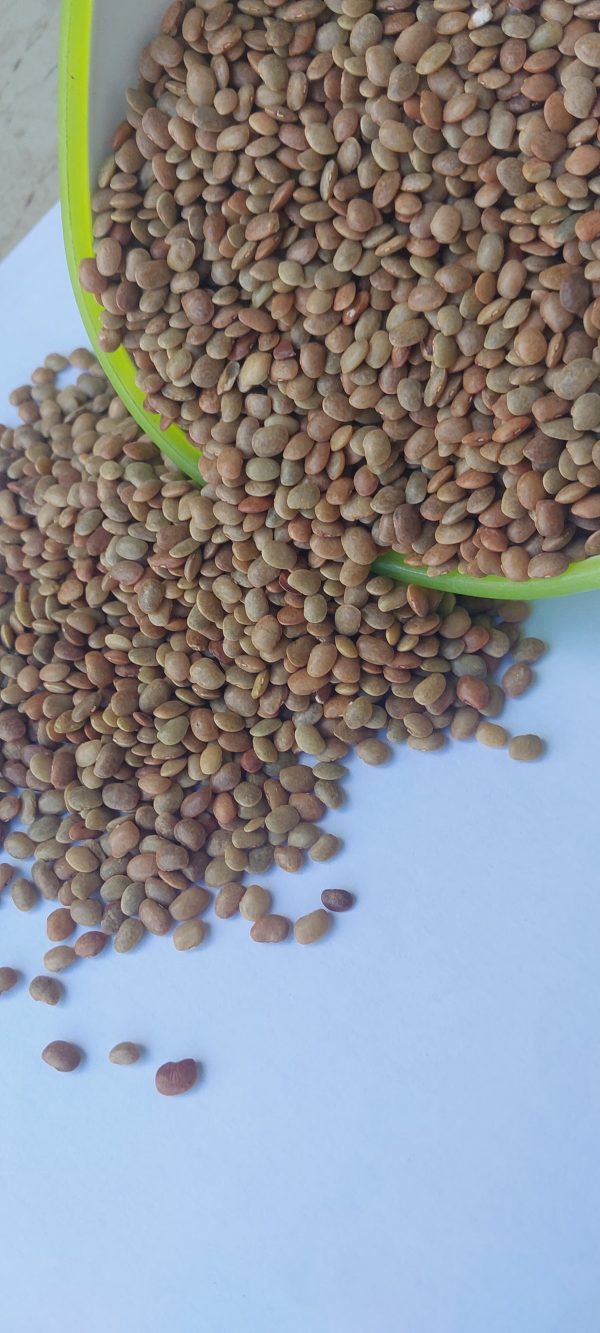 Horse Gram
