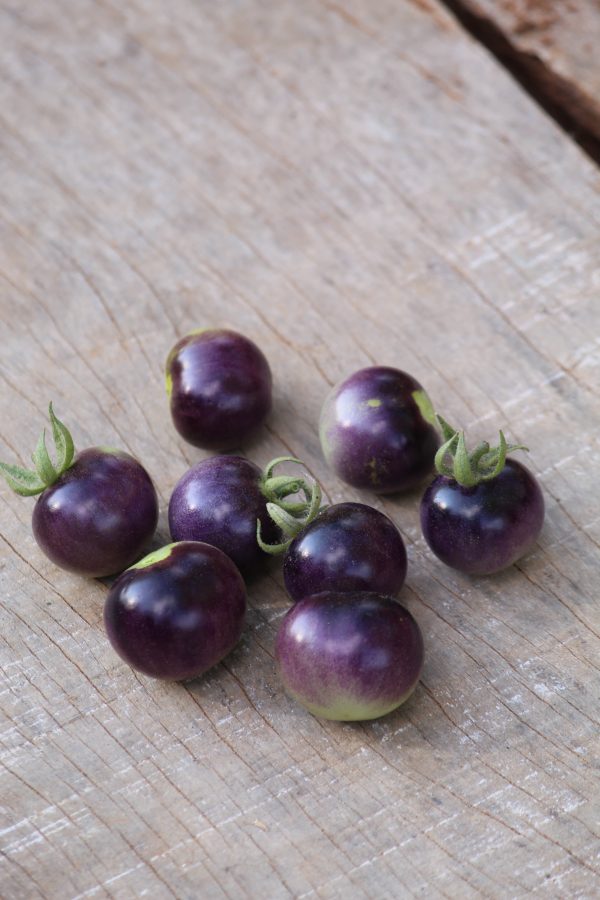 Tomato Blue Cherry