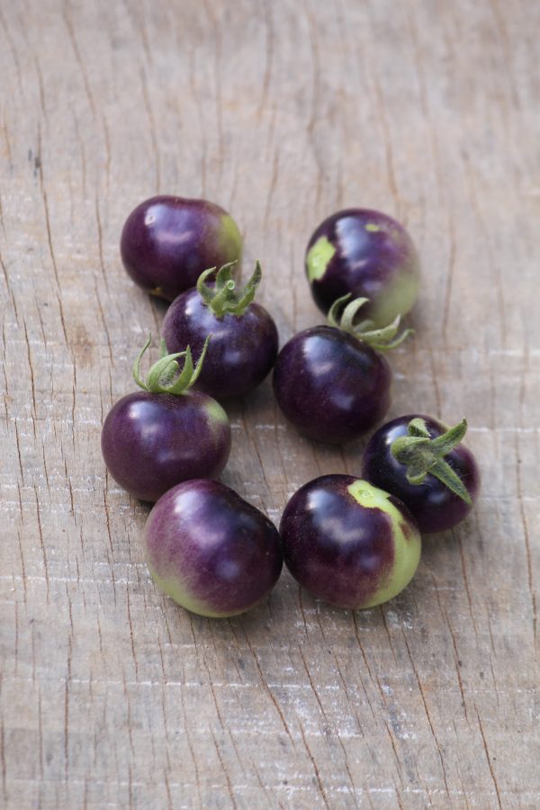 Tomato Blue Cherry - Image 2