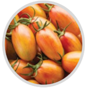 Tomato Orange Beauty