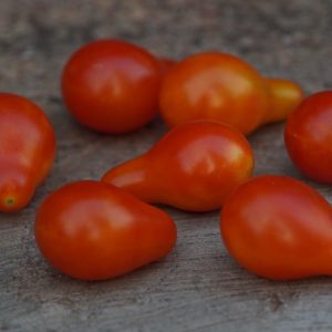Tomato Red Pear